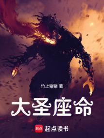 大圣座命txt