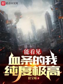 能看见血条的我纯度极高 TXT