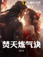 焚天炼气诀阿秋漫解