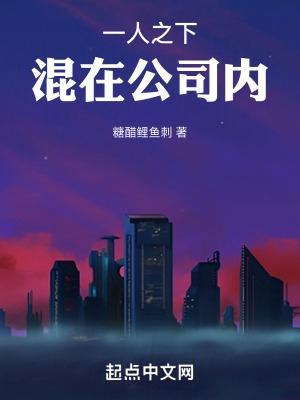 混在公司内TXT