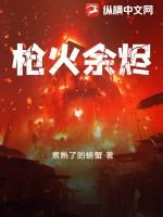 枪火 最后