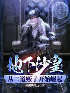 国际通缉犯级别