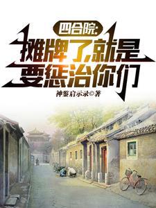 四合院我是棒梗