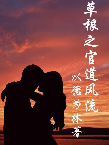 草根的官场之路