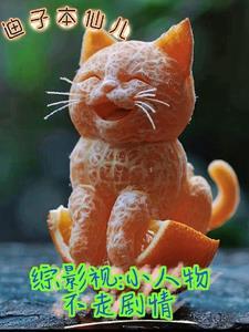 综影视小人物不走剧情迪子本仙儿