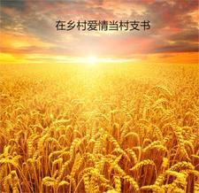在乡村爱情当村支书txt