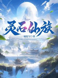 我为镇族灵石 第506章