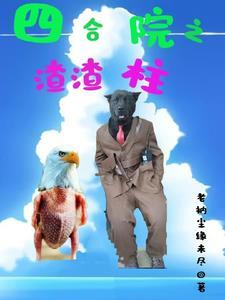 四合院我傻柱开局