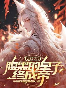 腹黑皇子追妻记