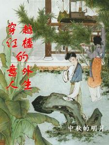 穿越红楼之