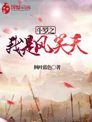 斗罗之从我是风笑天