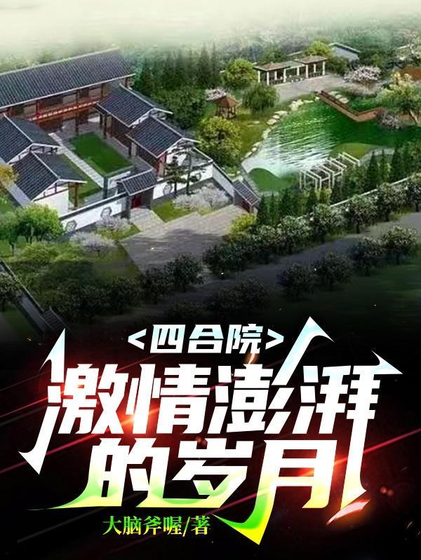 四合院激情澎湃的岁月精校版