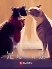 四合院之我是大厨开始阅读