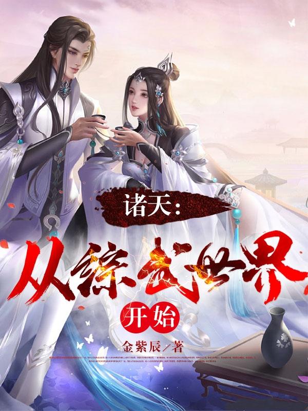 诸天从综武世界开始最