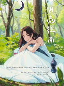 月亮往南 木申子殇
