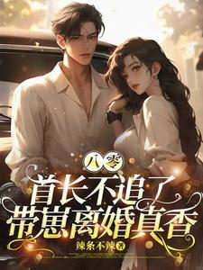 带崽离婚真香苏晚清