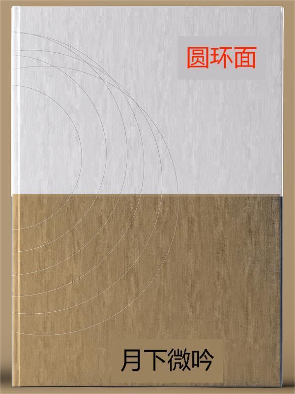 圆环面积怎么求?
