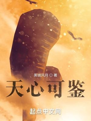 天心是什么意思?