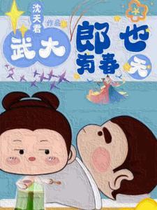 穿越武大郎系统