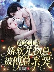 蓄意引诱娇软尤物总被傅总亲哭免费阅读