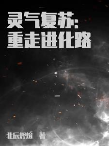 终极进化体