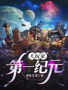 大玩家是哪里的
