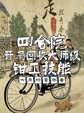 四合院开局收回棒梗的婚房