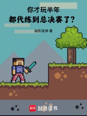 你才玩半年都代练到总决赛了txt