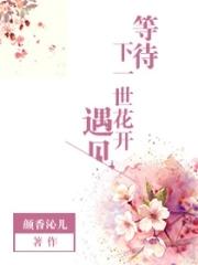 歌词 等待下一次花开歌名是什么