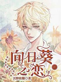 向日葵之恋by沃野软糖