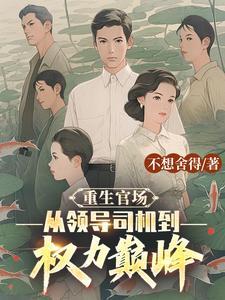 司机重生的官场