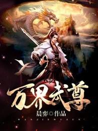 都市修真高手叶枫