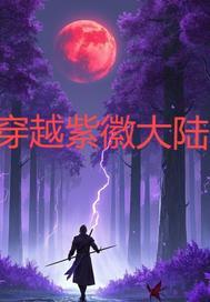 穿越紫薇大帝