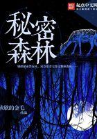 秘密的森林txt精校