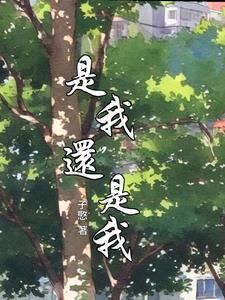 是我是我还是我是哪首歌的歌词