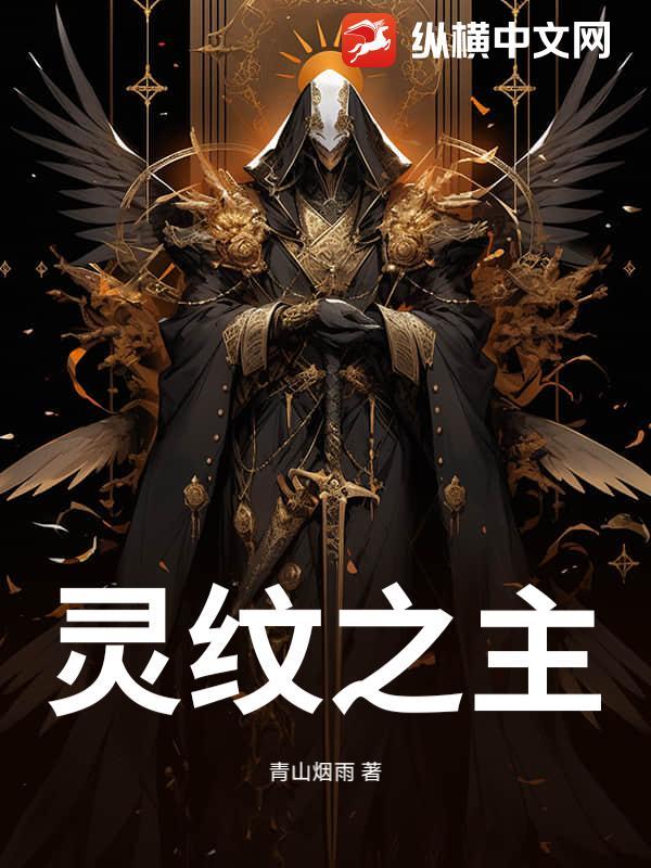 灵纹之主笔趣阁