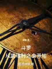 从斗罗开始武魂是魂环