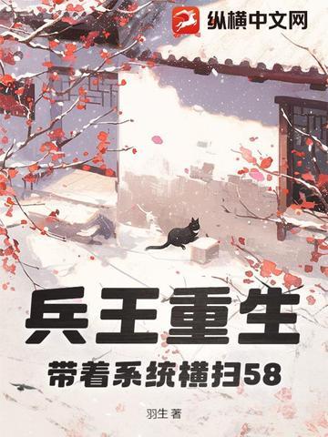 兵王系统流