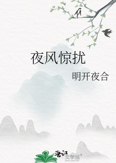 夜风惊扰讲的什么