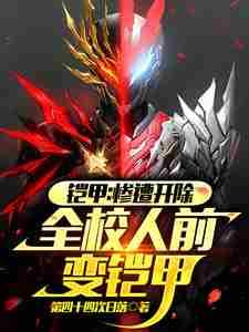 铠甲变身动画片