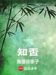 知否我是徐家子无错版