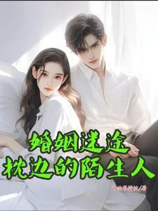 婚姻迷途枕边的陌生人