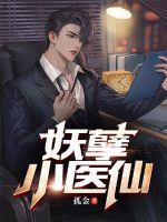 妖孽小医仙念兮