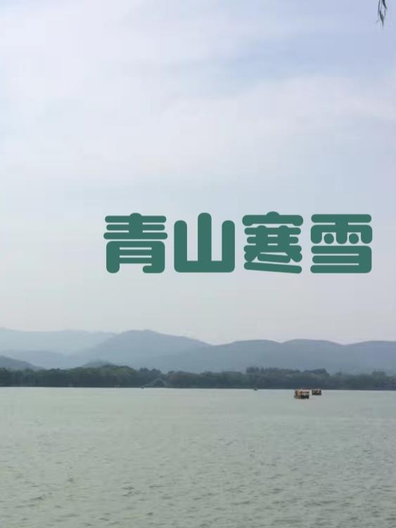 青山有雪存松性碧落无云称鹤心的意思