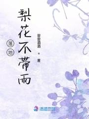 梨花落地无声免费阅读