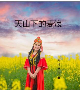 麦香天山下